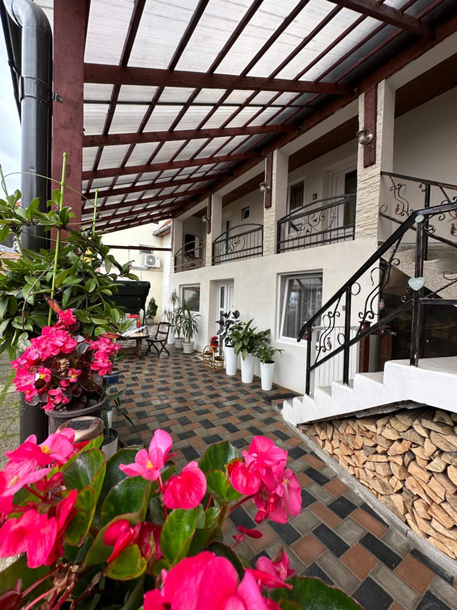 Casa Rio Hotel Sighisoara Luaran gambar
