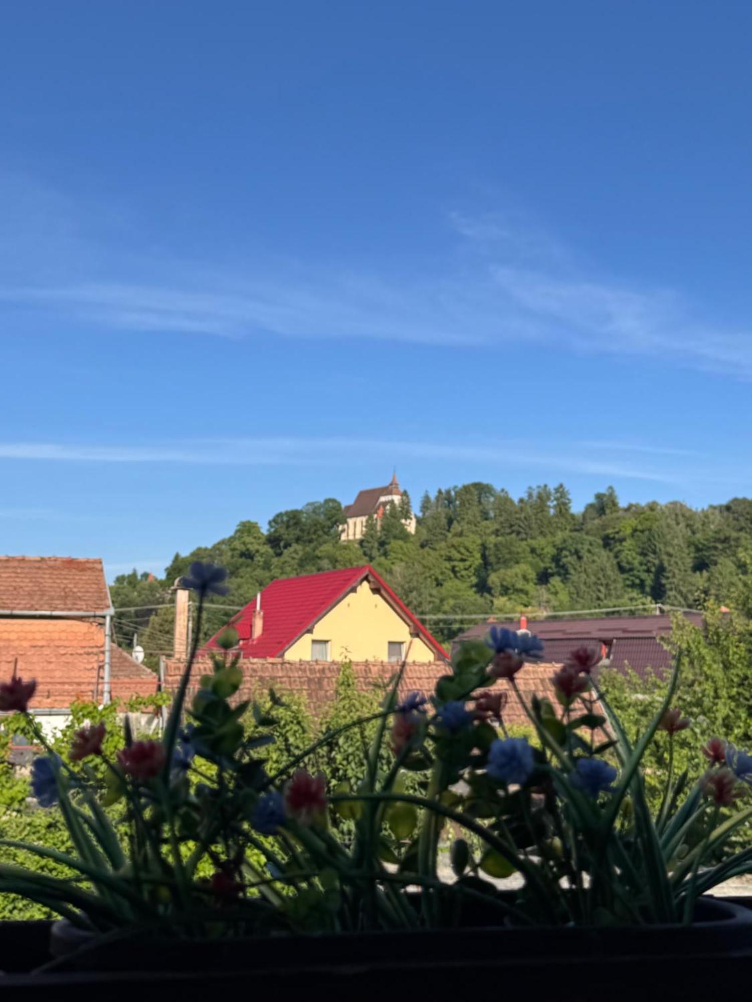 Casa Rio Hotel Sighisoara Luaran gambar